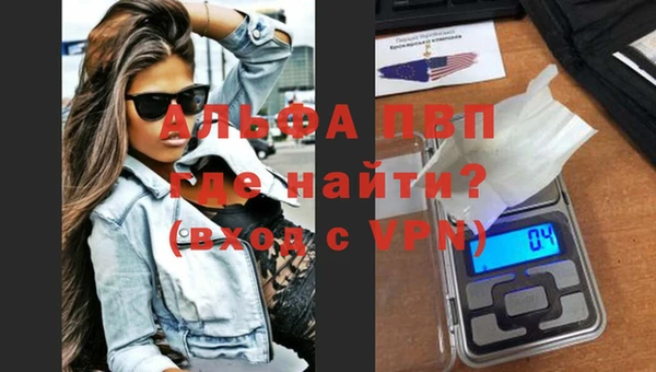 молекула духа Белоозёрский