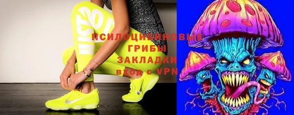 герыч Арсеньев