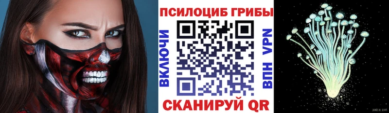 Купить закладки  Георгиевск  Псилоцибиновые грибы Psilocybe 